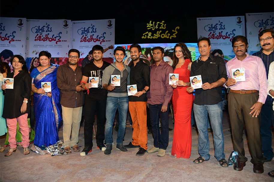 Pyaar-Mein-Padipoyane-Audio-Launch